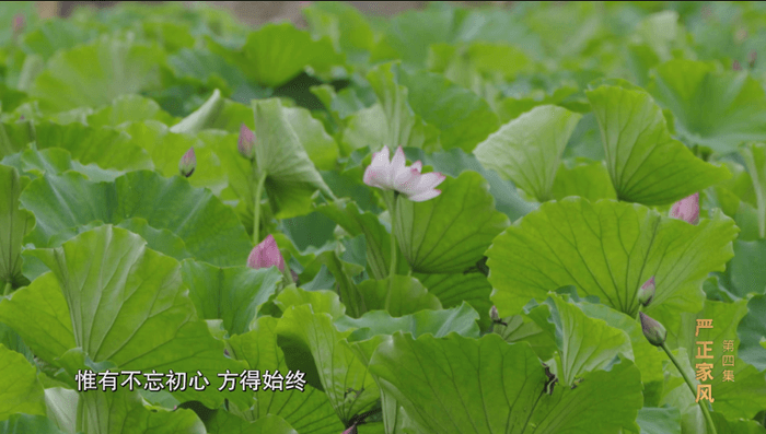 電視專題片《正風(fēng)反腐就在身邊》第四集：《嚴(yán)正家風(fēng)》
