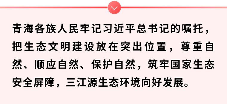 鏡觀·領航丨這個地方，總書記一直牽掛