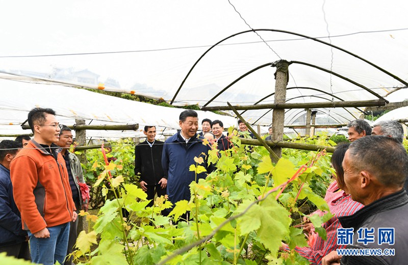 習近平在廣西考察時強調(diào) 解放思想深化改革凝心聚力擔當實干 建設(shè)新時代中國特色社會主義壯美廣西