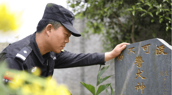 “神捕”最后一次出征，跛著腳，第一時(shí)間咬住了嫌疑人