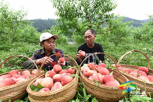 【最美高速路 一品沿印松】沿著沿印松高速看苗鄉(xiāng)松桃