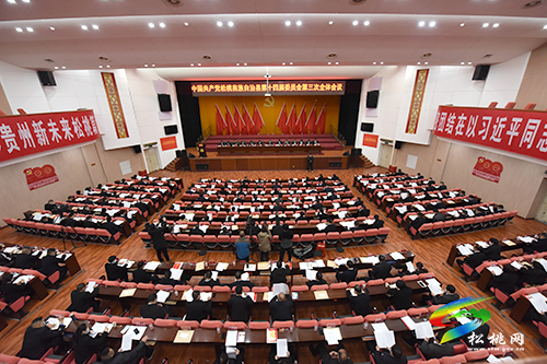 中國(guó)共產(chǎn)黨松桃苗族自治縣第十四屆委員會(huì)第三次全體會(huì)議順利開幕