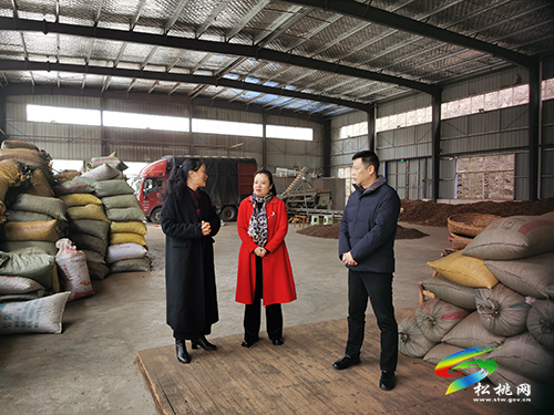 田筑玉走訪調(diào)研聯(lián)系服務(wù)重點企業(yè)