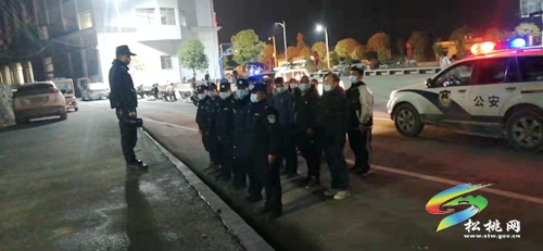 盤信鎮(zhèn)開展疫情防控宣傳和嚴厲打擊預防違法犯罪整治行動