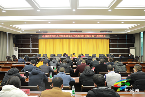 松桃2022年城鄉(xiāng)居民基本醫(yī)療保險(xiǎn)征繳工作推進(jìn)會(huì)召開(kāi)
