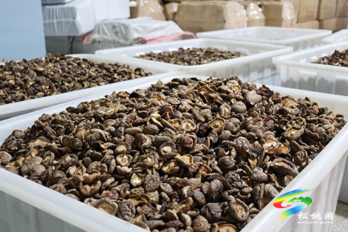 【新春走基層】松桃特色農(nóng)產(chǎn)品備戰(zhàn)年貨市場
