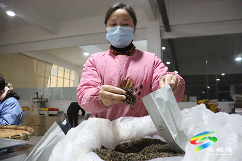 【新春走基層】松桃特色農(nóng)產(chǎn)品備戰(zhàn)年貨市場