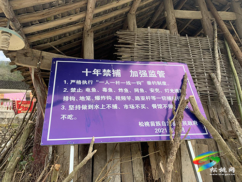 ​世昌街道扎實開展“十年禁漁”專項聯(lián)合巡查執(zhí)法行動