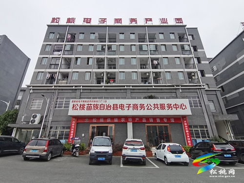 【新春走基層】松桃為人民群眾備足別樣新春“大禮包”
