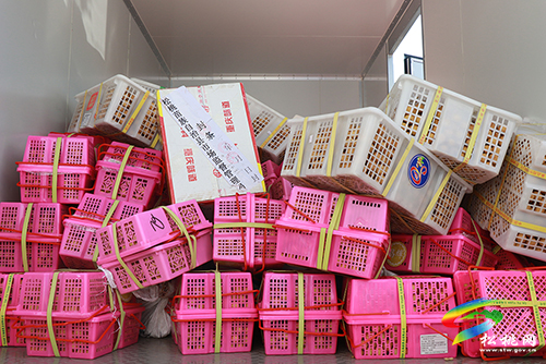 ​松桃市場監(jiān)管局集中銷毀1.5噸“問題”食品