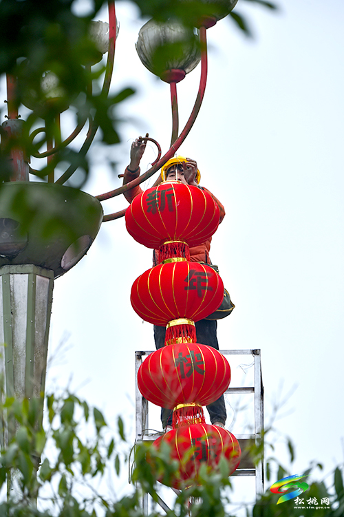 松桃：燈籠高掛　年味漸濃