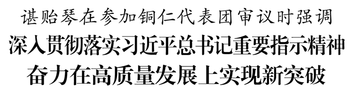 【省“兩會”報道】諶貽琴在參加銅仁代表團審議時強調(diào):深入貫徹落實習(xí)近平總書記重要指示精神 奮力在高質(zhì)量發(fā)展上實現(xiàn)新突破