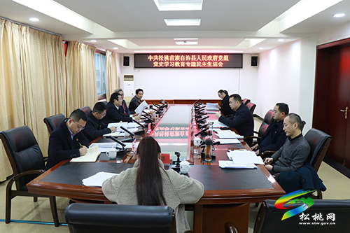 中共松桃苗族自治縣人民政府黨組黨史學(xué)習(xí)教育專題民主生活會(huì)召開(kāi)