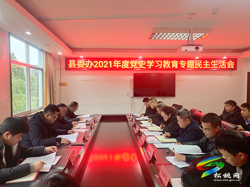 中共松桃苗族自治縣委辦公室黨史學(xué)習(xí)教育專題民主生活會(huì)召開