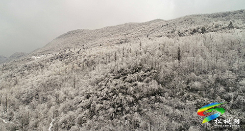 松桃：賞雪過大年