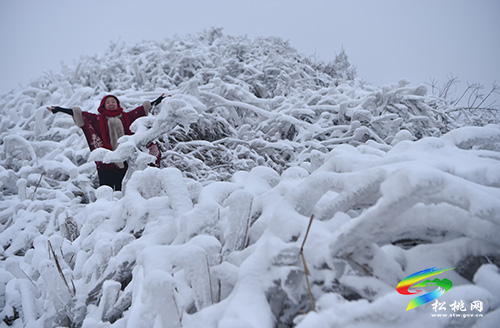 松桃：賞雪過大年