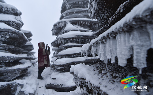 松桃：賞雪過大年