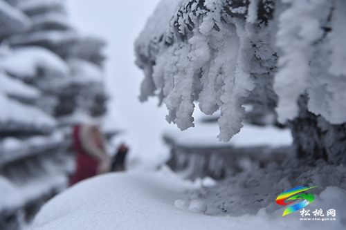 松桃：賞雪過大年