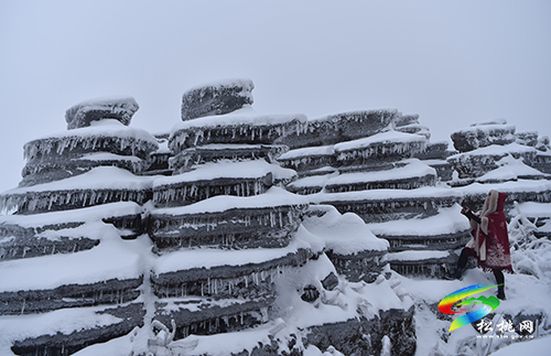 松桃：賞雪過大年