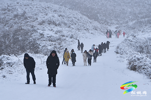 松桃：賞雪過大年