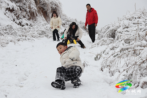 【新春走基層】松桃紅石林：雪景迎游客，歡樂過新春