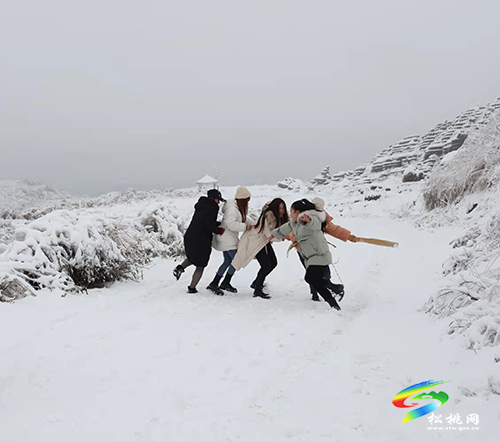 【新春走基層】松桃紅石林：雪景迎游客，歡樂過新春