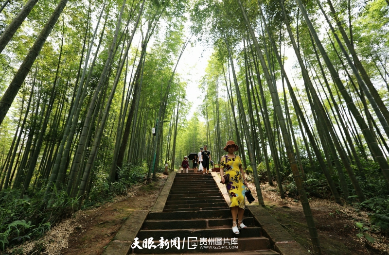 《貴州日報(bào)》刊登乾興平文章：牢記囑托闖新路 滿懷信心向未來