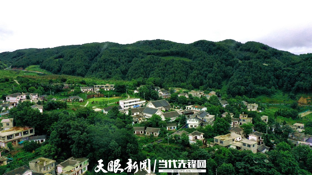 《貴州日報(bào)》刊登乾興平文章：牢記囑托闖新路 滿懷信心向未來