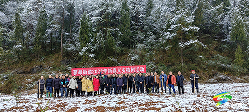松桃：造林綠化助推鄉(xiāng)村振興