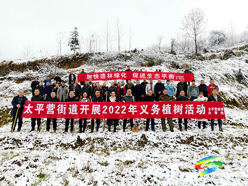 松桃：造林綠化助推鄉(xiāng)村振興