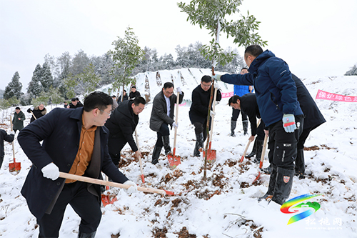 松桃開展2022年全民義務(wù)植樹活動
