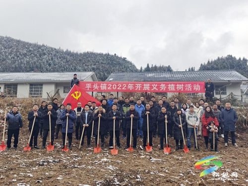 平頭鎮(zhèn)：植樹造林強綠化，鄉(xiāng)村振興添活力