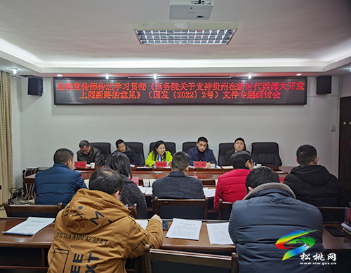 【聚焦國發(fā)2號文件】縣委宣傳部召開傳達學習貫徹新國發(fā)2號文件專題研討會議