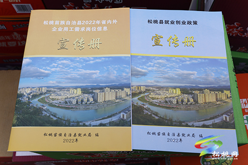 【新春走基層】松桃：脫貧勞動(dòng)力返崗就業(yè)免費(fèi)乘車(chē)