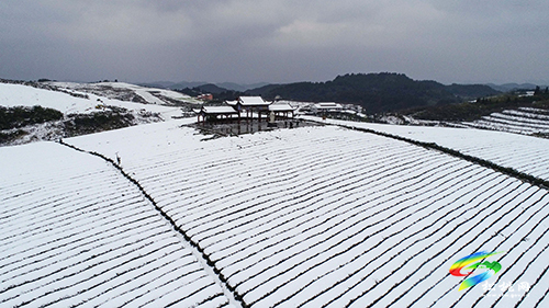 松桃：雪景美如畫