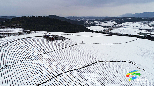 松桃：雪景美如畫