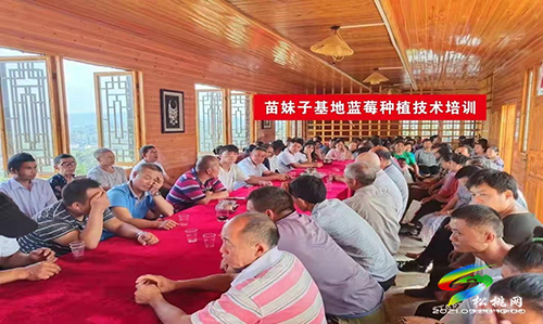 黃板鎮(zhèn)：打好人才“組合拳”為鄉(xiāng)村振興提供智力支撐