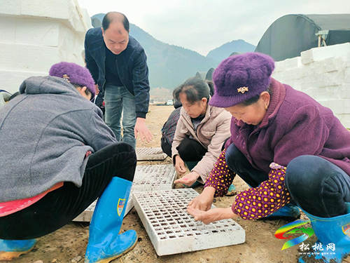 普覺鎮(zhèn)：“三聚焦”提升新任村干部履職能力