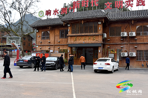 松桃開(kāi)展特色田園鄉(xiāng)村示范村建設(shè)調(diào)研