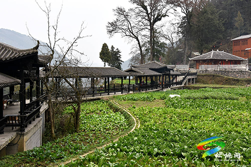 松桃到德江考察特色田園鄉(xiāng)村建設(shè)