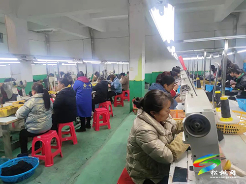 木樹鎮(zhèn)：脫貧戶感恩回報　開辦工廠助力家鄉(xiāng)發(fā)展