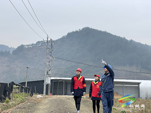 ​松桃供電局：春耕生產(chǎn)不誤時 優(yōu)質(zhì)電力來助力