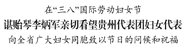 諶貽琴李炳軍親切看望貴州代表團(tuán)婦女代表 向全省廣大婦女同胞致以節(jié)日的問候和祝福