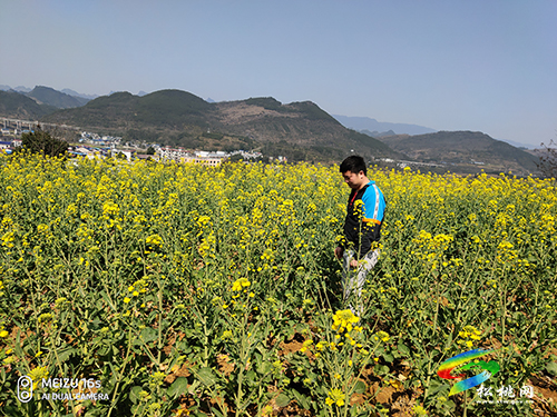 迓駕鎮(zhèn)開展春季禁毒鏟毒踏查行動