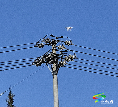 孟溪鎮(zhèn)：多種形式巡線 保障春季用電安全