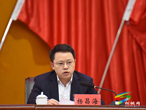 松桃召開全縣組織宣傳統(tǒng)戰(zhàn)政法工作會議