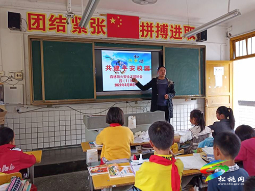 寨英鎮(zhèn)教育系統(tǒng)多舉措開展“森林防火”知識宣傳
