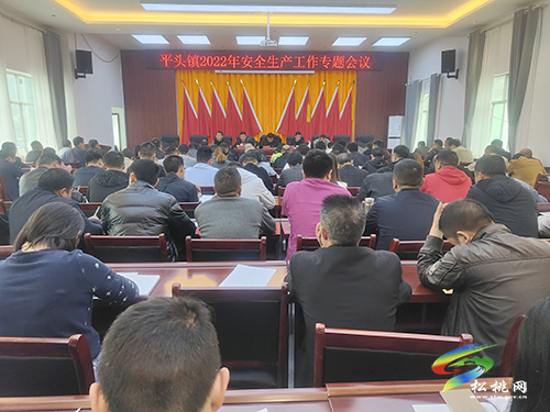 平頭鎮(zhèn)召開2022年安全生產(chǎn)工作專題會議