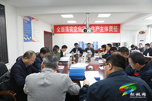 國家礦山安全監(jiān)察局來松桃開展錳產(chǎn)業(yè)調研督查工作