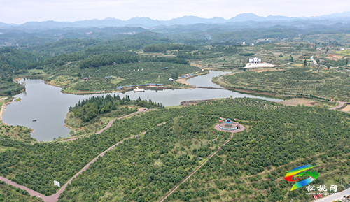 匯聚巾幗群英 逐夢大美苗鄉(xiāng)——記松桃苗族自治縣女企業(yè)家協(xié)會成立